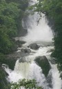 Rara Avis Waterfall